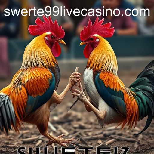 Exploring the World of Sabong Games and SWERTE99